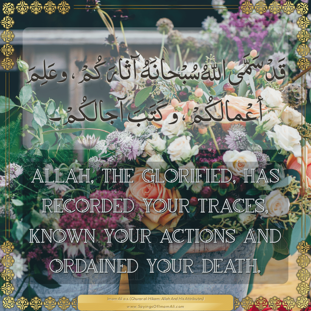 Allah, the Glorified, has recorded your traces, known your actions and...